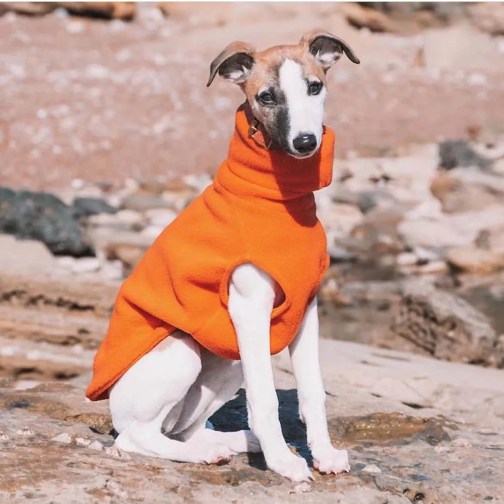 Winter Fleece Whippet Weste Italienische Windhund Kleidung Rollkragen Hund Kleidung Weiche Fleece Kleidung