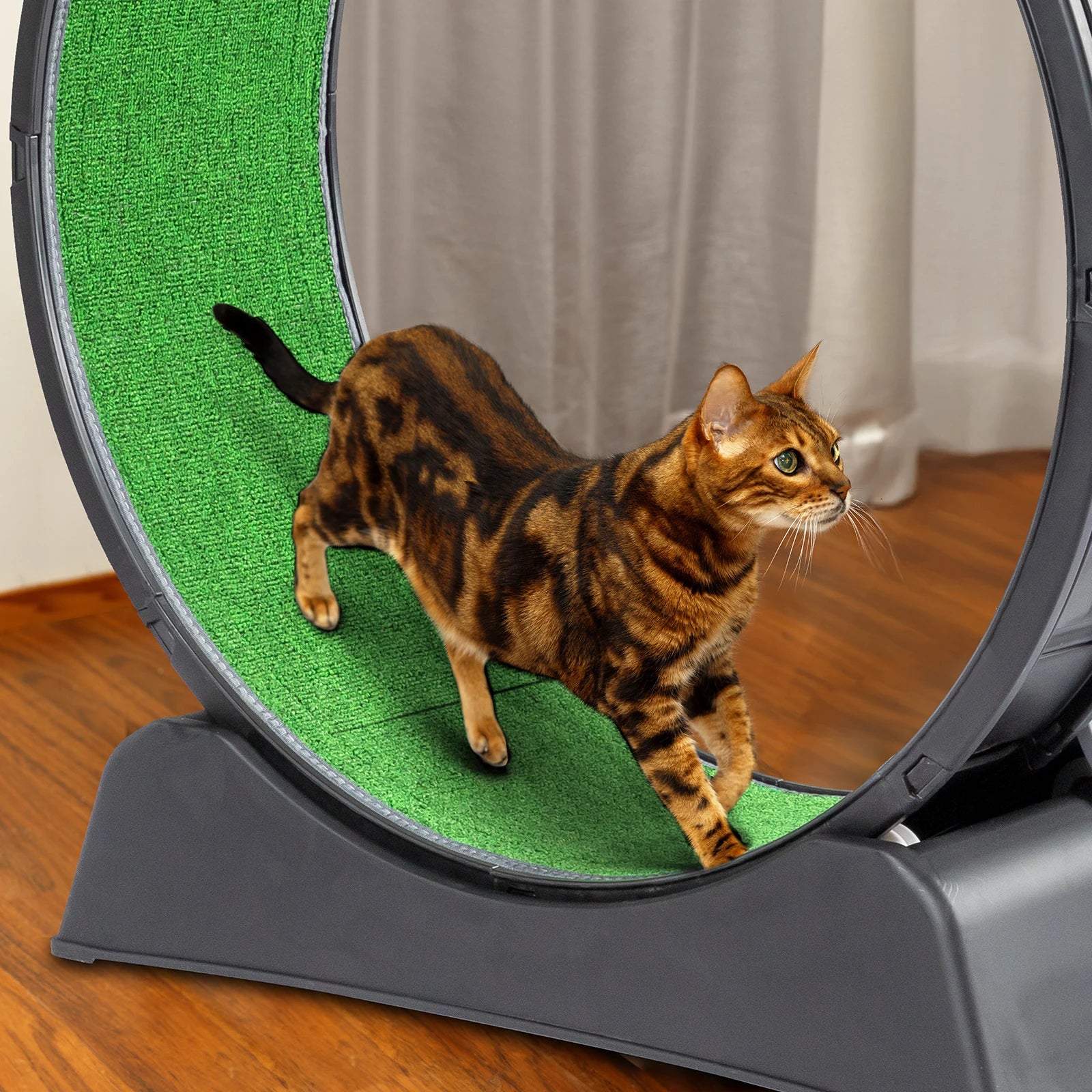 39-inch Indoor Cat Exercise Wheel Treadmill Cat Wheel Exerciser With Carpeted Runway