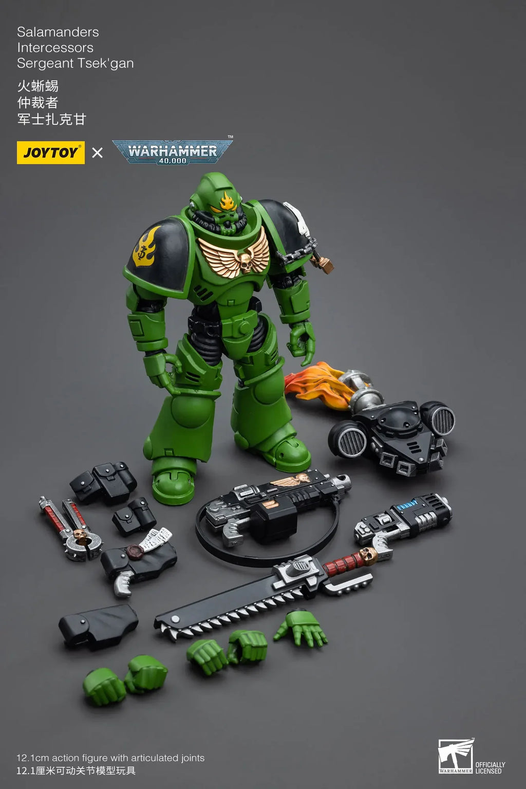 JOYTOY Warhammer 40K 1/18 Salamanders Intercessors Brother Haecule Sergeant Tsek'gan 12.1cm Soldier Action Figure Model Toy Gift