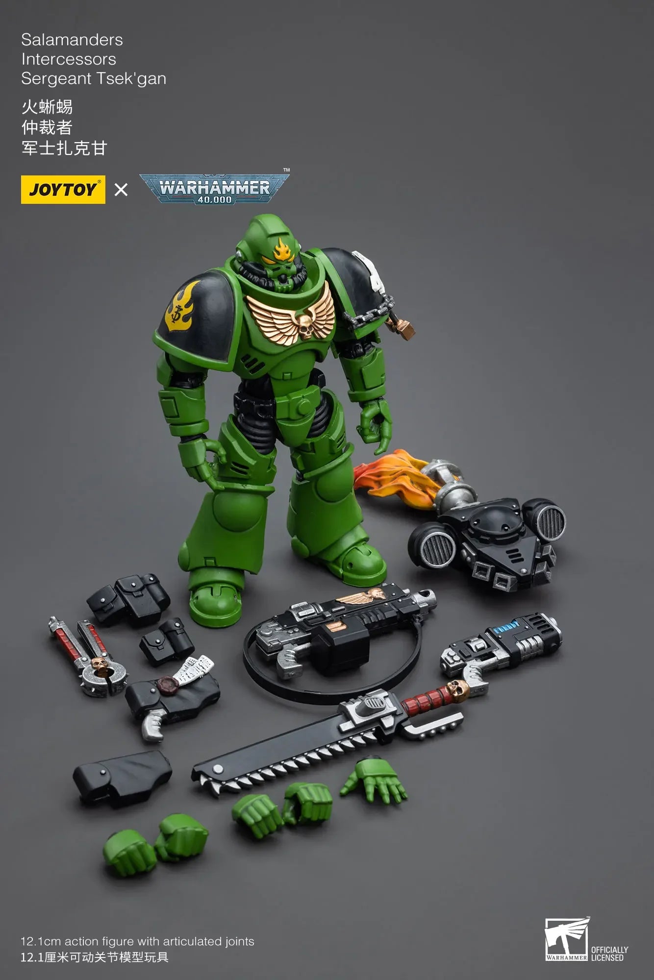 JOYTOY Warhammer 40K 1/18 Salamanders Intercessors Brother Haecule Sergeant Tsek'gan 12.1cm Soldier Action Figure Model Toy Gift