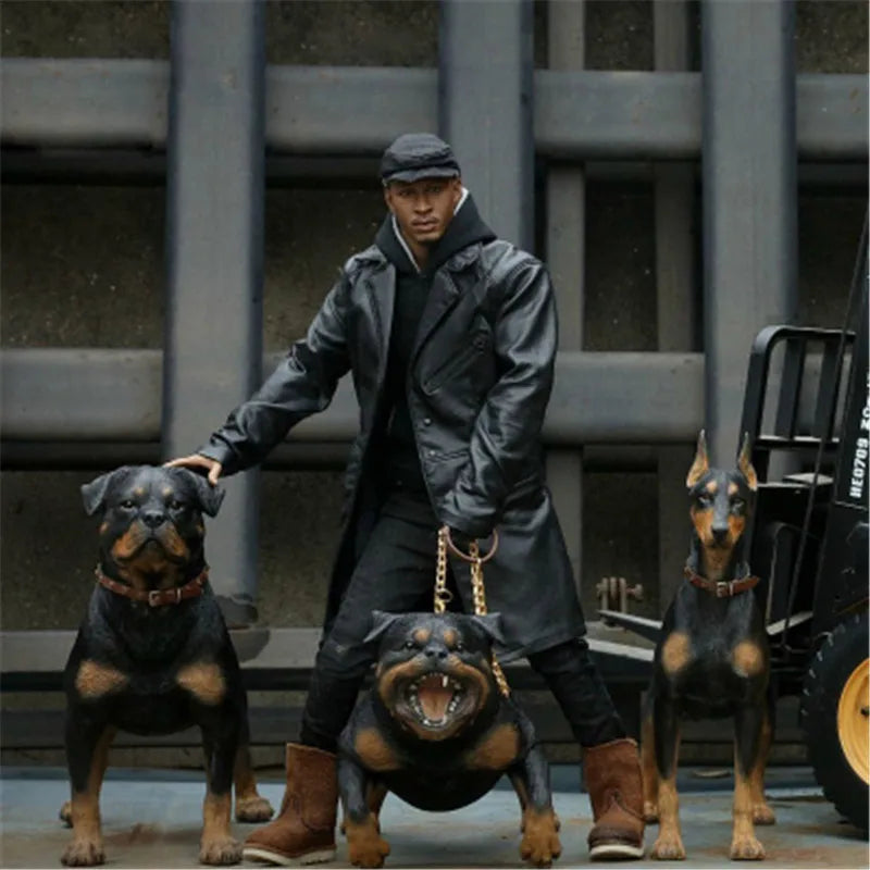 Mr.Z 1:6 Scale Animal Figure Doll Rottweiler Loyal Police Dog Model For 12Inch Action Figure Scenes Decor Desktop Toy Ornaments
