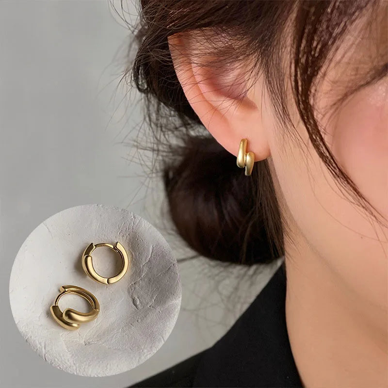 VENTFILLE 925 Sterling Silver Chunky Hoop Earrings for Women Geometric Circle Punk Ear Jewelry Party Gifts 2023 New Dropshipping