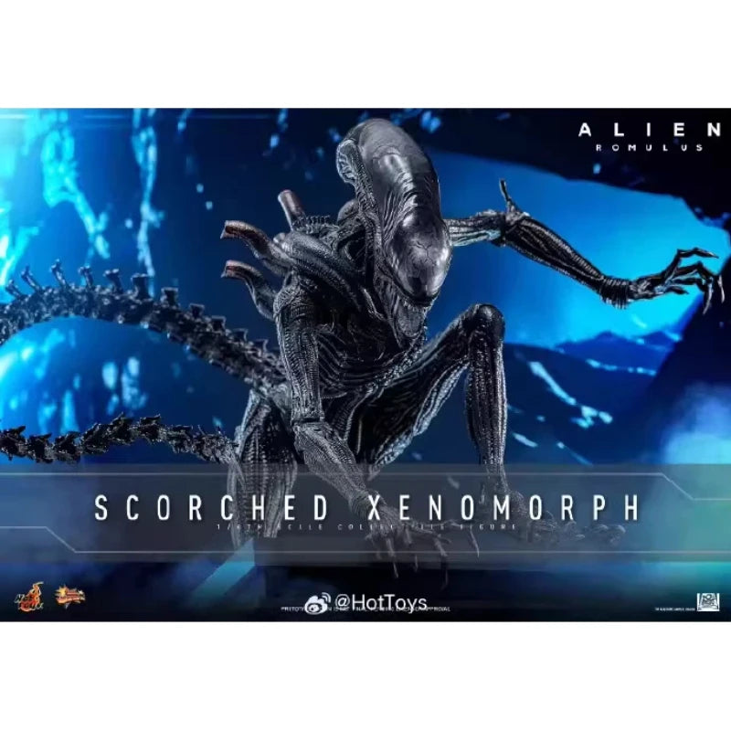 HotToys HT 1/6 Scorched Xenomorph Action Figure MMS784 Alien Romulus Articulated Collectible Model For Action Figure Collectors