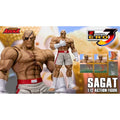 Storm Toys Original Street Fighter Zero 3 Sagat Limited Edition 1/12 Action Figure Model Desktop Collection Ornament Toys Gifts