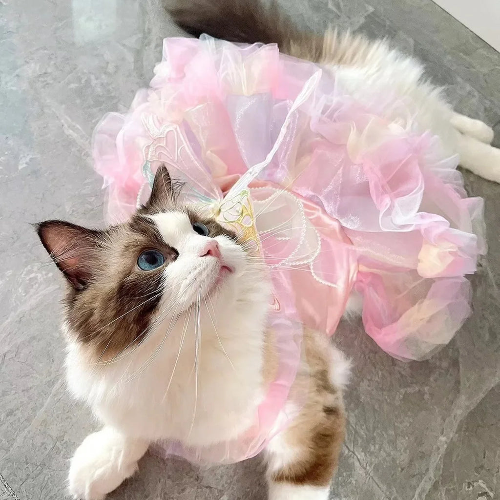 Hund Katze Frühling Prinzessin Kleid Spitzenrock Haustier Kleidung Streifenrock Welpen Prinzessin Bekleidung Niedliche Welpen Kleidung Haustier Katzenkleidung
