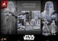 HOTTOYS HT MMS835 1/6 Scale Collectible Figure Star Wars 5 Snow Storm Commander 12Inch Men Soldier Action Figure Model Toys