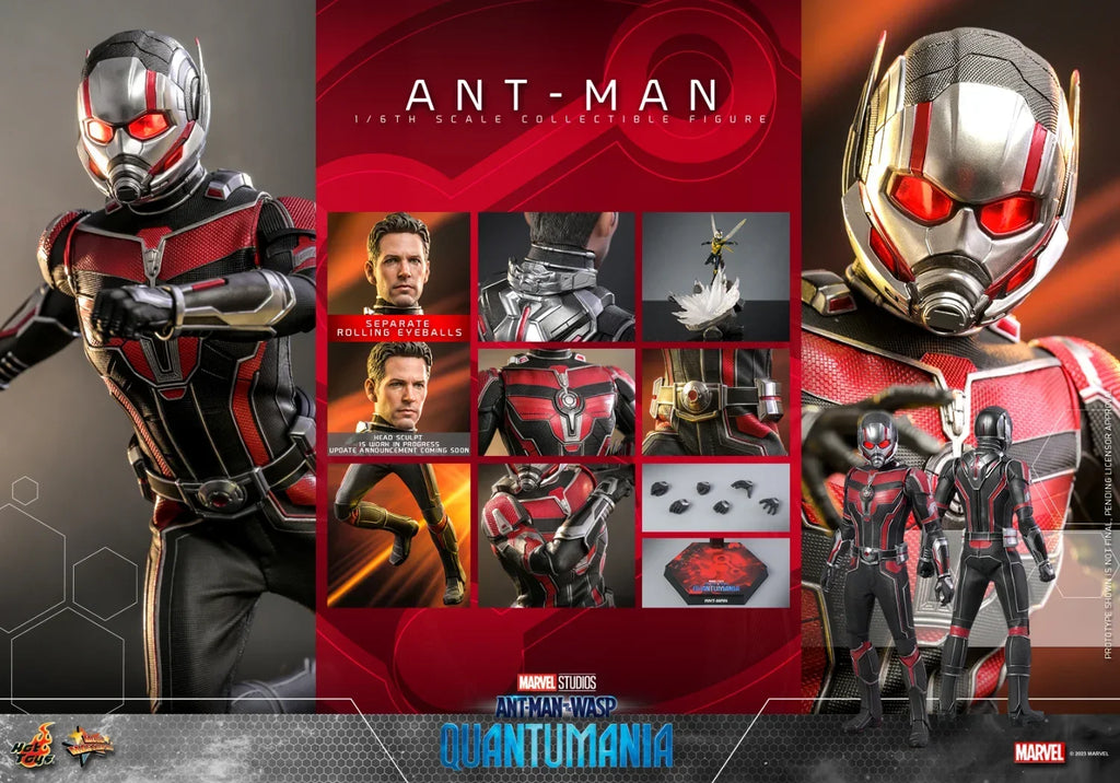 In Stock HT Hottoys MMS308 MMS497 MMS362 MMS690 Quantum Frenzy Ant Man 1.0 2.0 3.0 4.0 1/6 Action Figure Model Toys