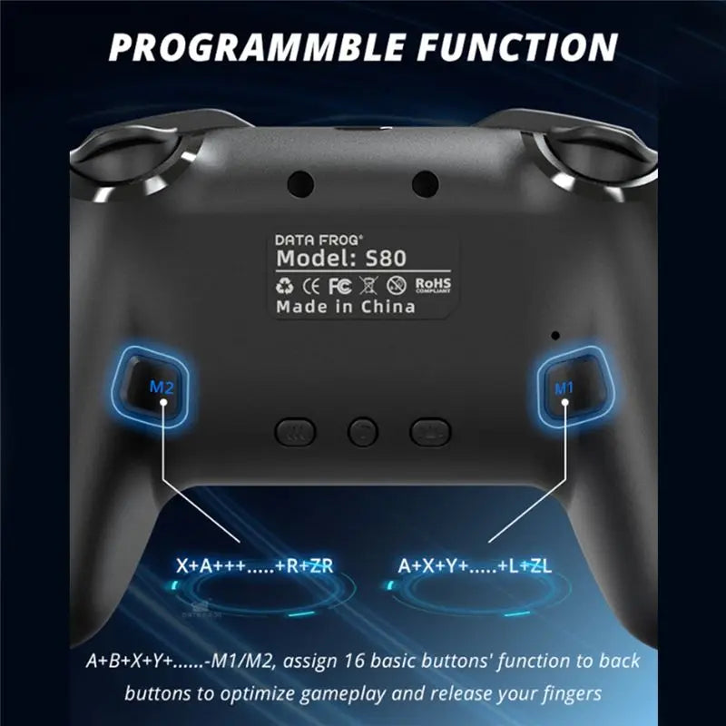 DATA FROG RGB LED Lighting Wireless Game Controller For Switch 2 For Switch Lite/OLED 6-Axis+ Vibration+ Turbo Controller