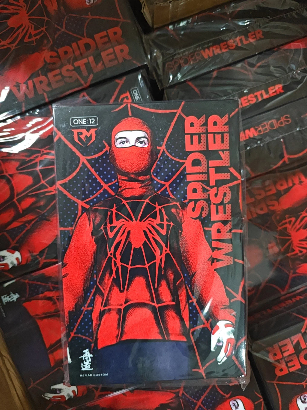 RemadCustom RM-008 1/12 Scale Collectible Figure Spider Hero Boy Wrestler Full Set 6Inch Men Soldier Action Figure Model