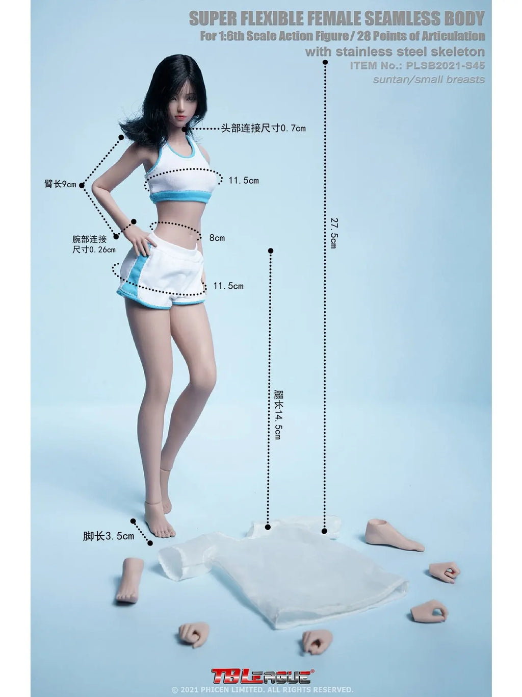 TBLeague PLSB2021-S44/S45 1/6 Scale Steel Skeleton Super Articulated Female Body Pale Skin Small Breasts Collectible Figure