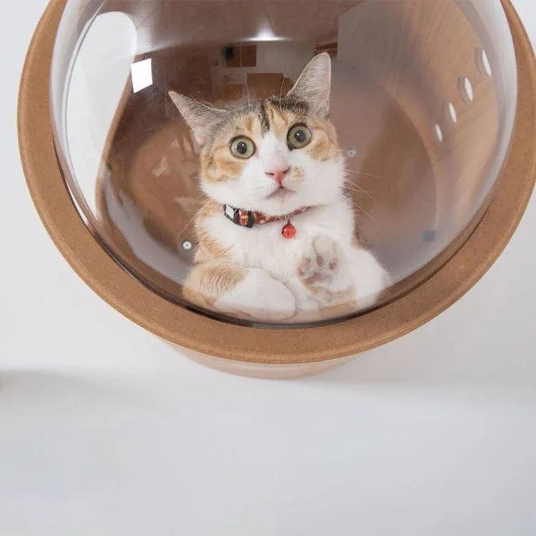 Cat play wall mounted furniture bed wood house hammock with acrylic cover