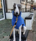 Winter Fleece Whippet Weste Italienische Windhund Kleidung Rollkragen Hund Kleidung Weiche Fleece Kleidung