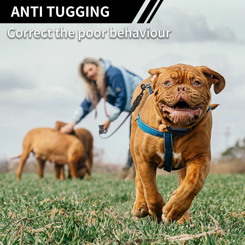 Private Mold Anti Pull Dog Collar - 3 Mode Bark Control Training Collar with IP67 Waterproof & Safe Shockproof for Large Dogs