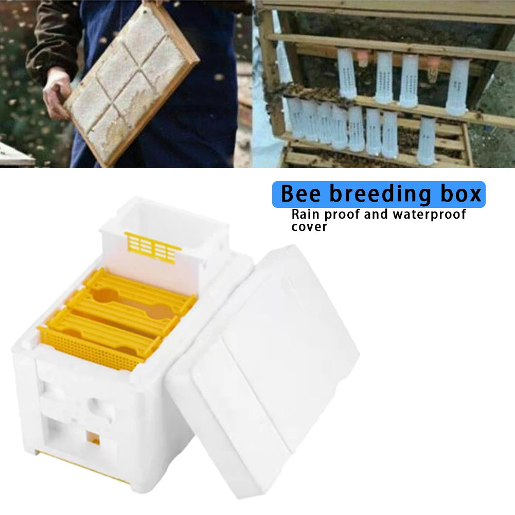 Beehive Pollination King Bees Hive Box Beekeeping Tools For Beekeeper Supplies
