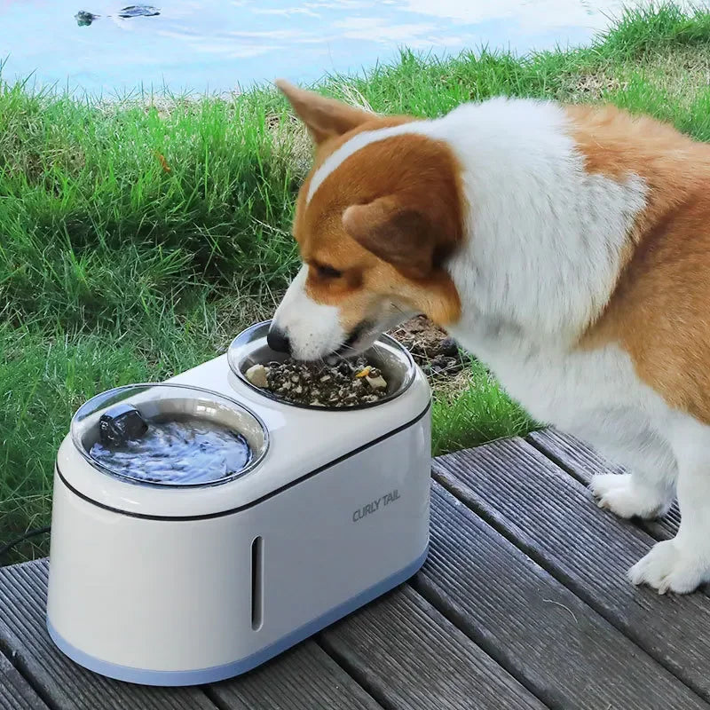 Automatic Feeder Pet Water Fountain Top Wireless Silent Water Dispenser Food Dispenser for Dog Cat Feeding Watering Supplies