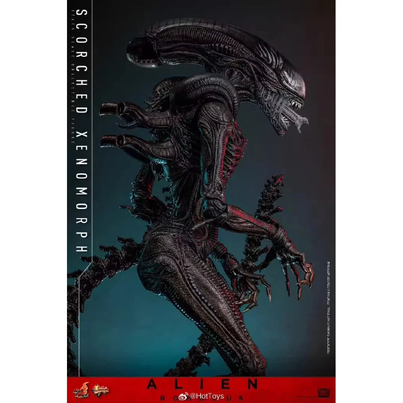 HotToys HT 1/6 Scorched Xenomorph Action Figure MMS784 Alien Romulus Articulated Collectible Model For Action Figure Collectors