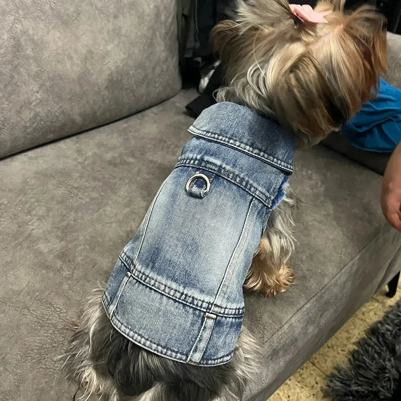 Blue Jeans Dog Denim Harness Jacket Puppy Vest Jacket Casual Clothes Costume Pet Apparel for Small Medium Dogs Back D-ring