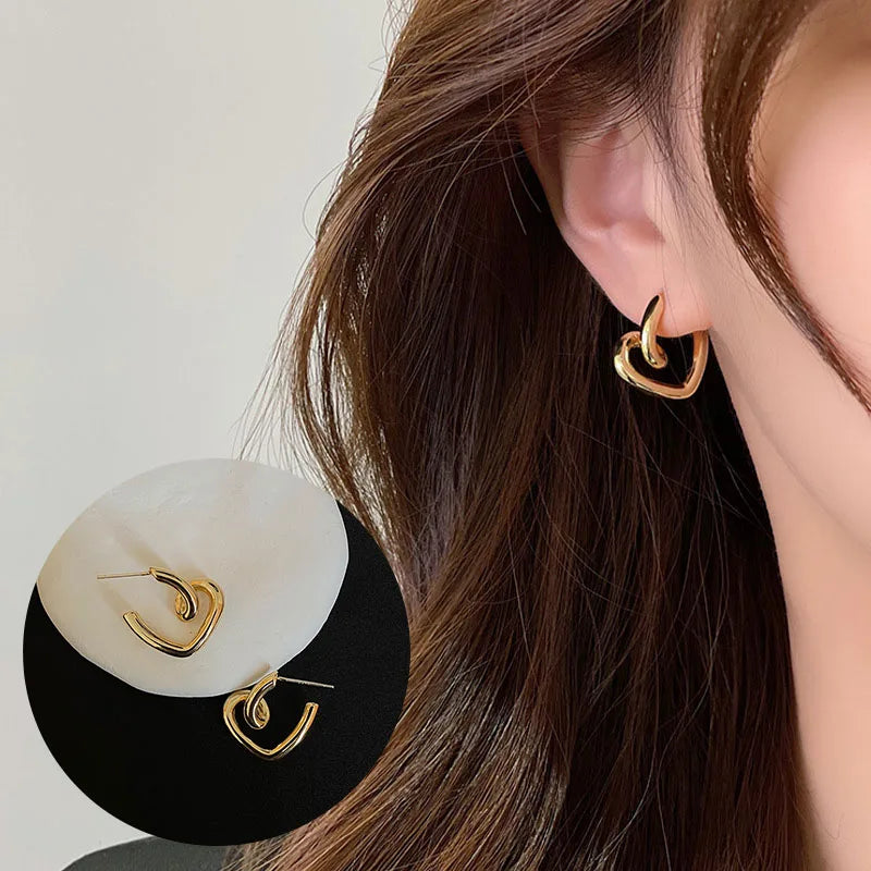 VENTFILLE 925 Sterling Silver Chunky Hoop Earrings for Women Geometric Circle Punk Ear Jewelry Party Gifts 2023 New Dropshipping