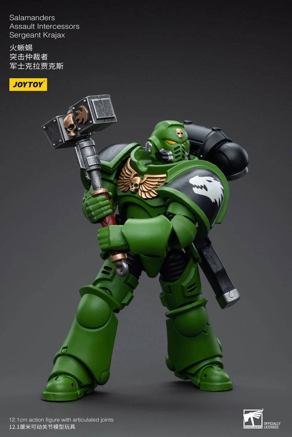 JOYTOY 40K 1/18 Salamanders Intercessors Sergeant Krajax Tsek'gan Brother Haecule Tol'vak Action Figures Model Gift for Collect