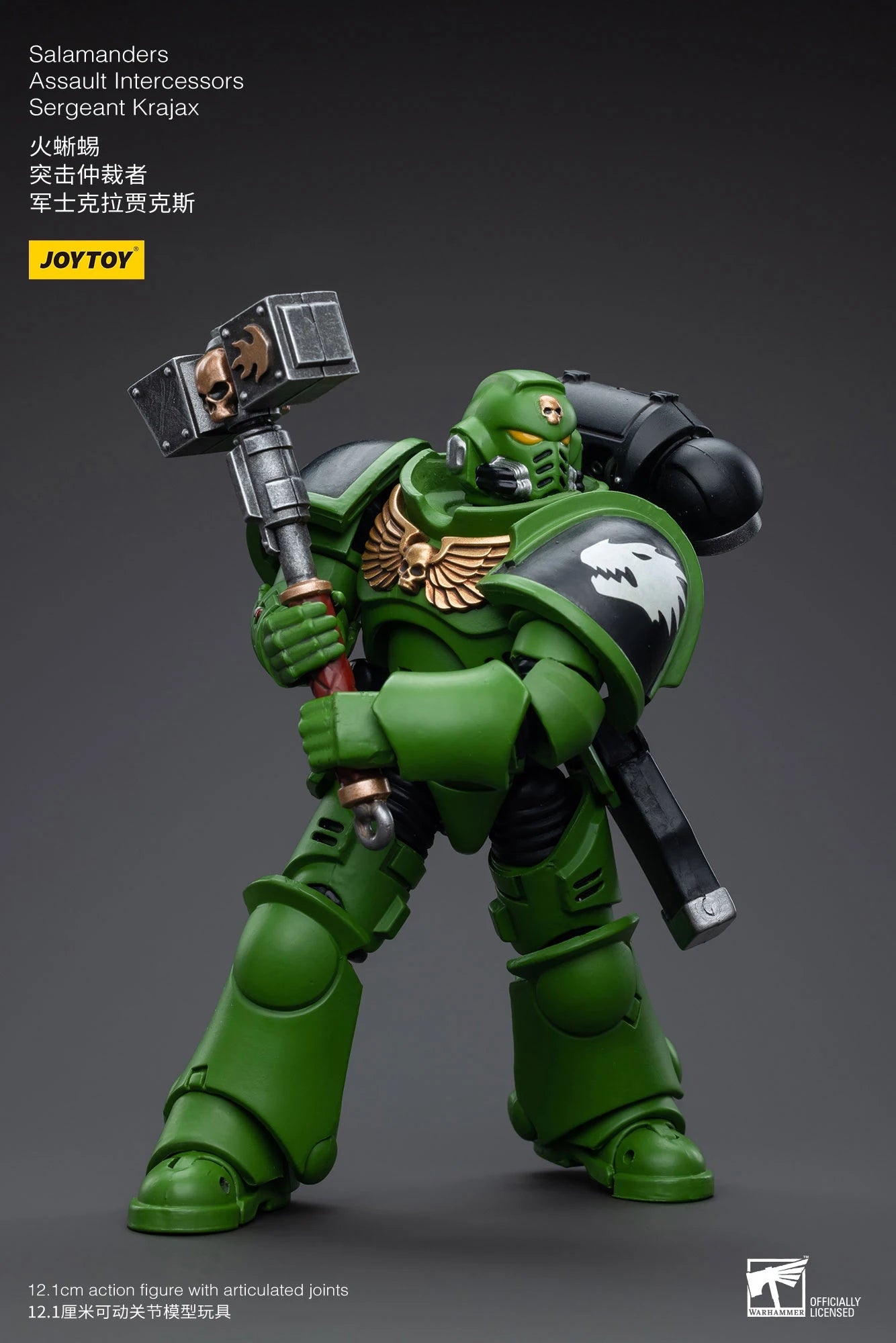JOYTOY 40K 1/18 Salamanders Intercessors Sergeant Krajax Tsek'gan Brother Haecule Tol'vak Action Figures Model Gift for Collect