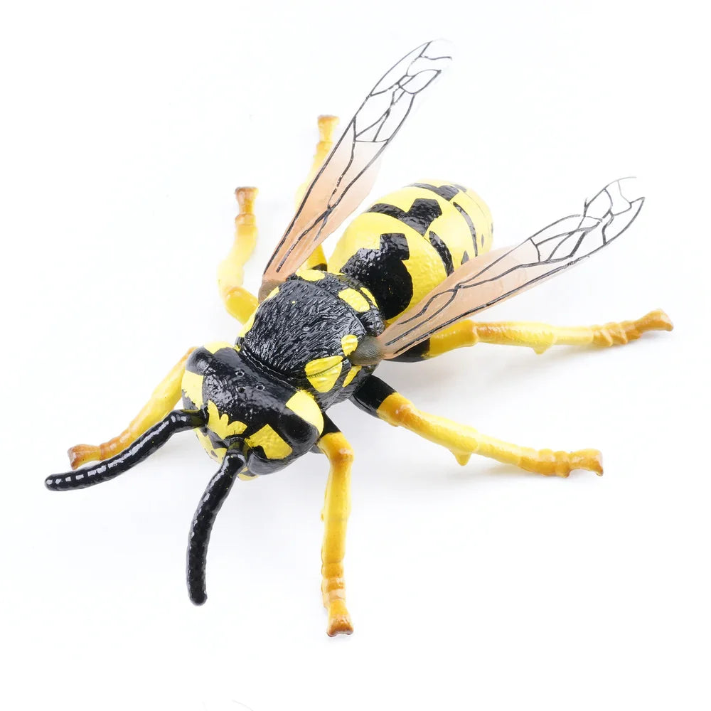 Toymany Simulation Insect & Beetle Wasp Animal Model Toy Mini Figures Dolls Action Figurines Toys Children Gift Cake Decor