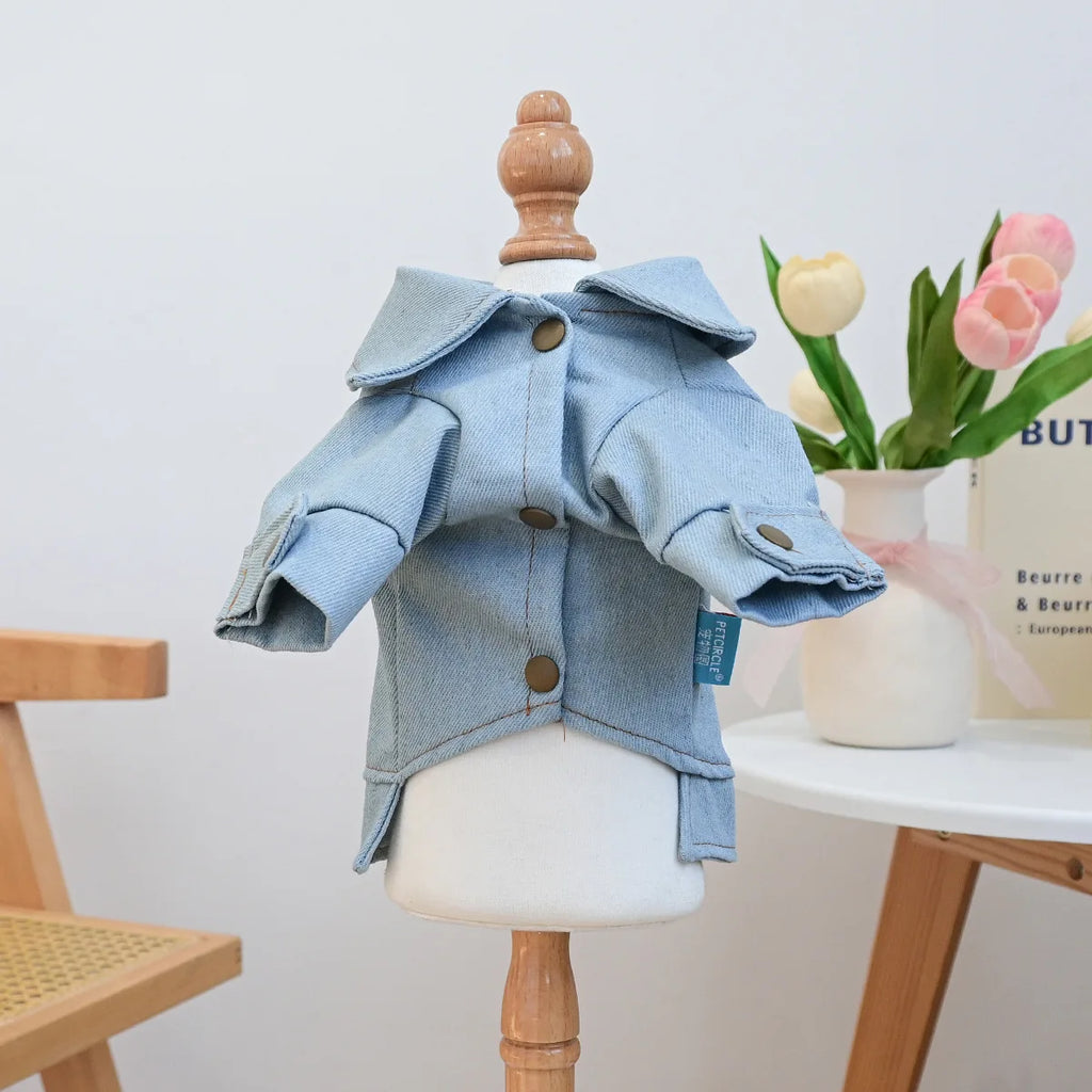 Jeansjacke für Hunde, Kronprinzessin, Geburtstagskostüm, Haustierbekleidung, langärmliger Jeansmantel mit D-Ring, Kleidung für kleine und mittelgroße Hunde
