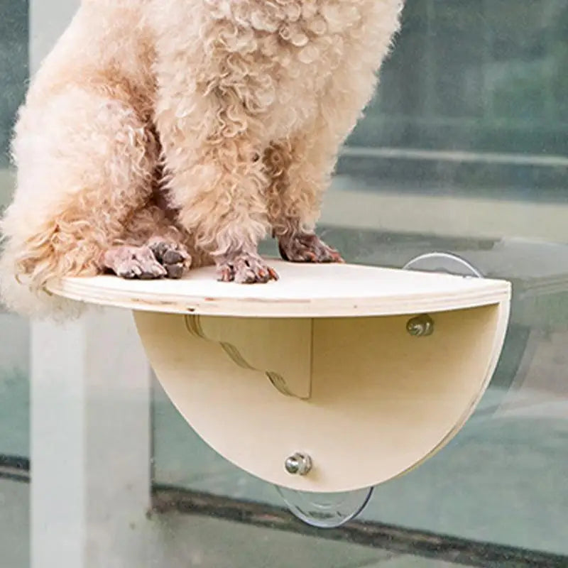 Cat Perch Hammock With 3 Suction Cups Space Saving Window Sill Kitten Climbing Shelf And Perches Bed Furniture Pet Jumping