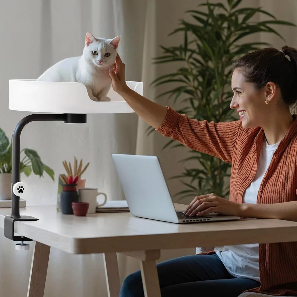 Cat Desk Bed Large Perch Nest with Teaser Easy Install,Space Saving Mount Design,Sturdy Frame,Removable Cushion,Clamp Desktop At