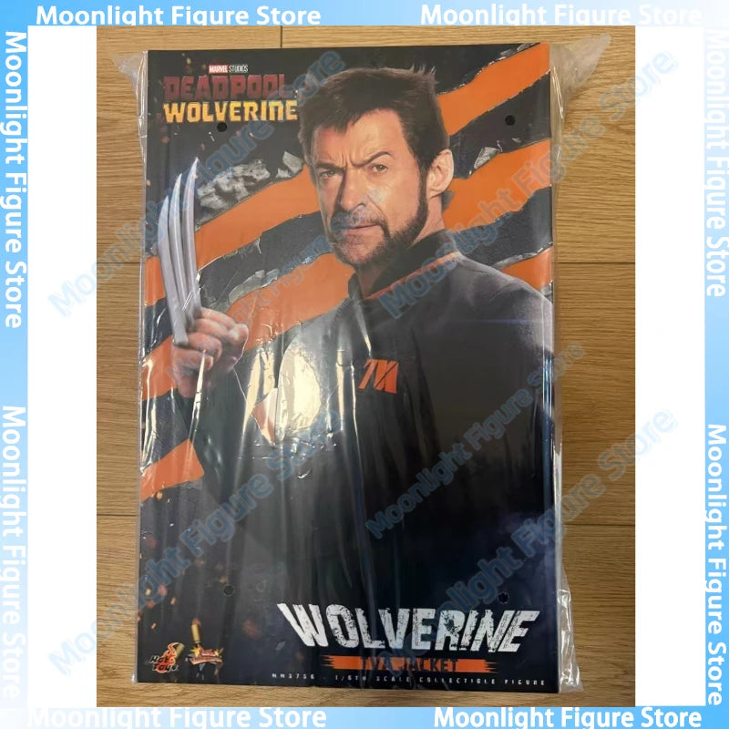 In Stock HotToys MMS756 Wolverine TVA Jacket 1/6 Soldier Figure Animation Action Figure Toy Gift Model Collection