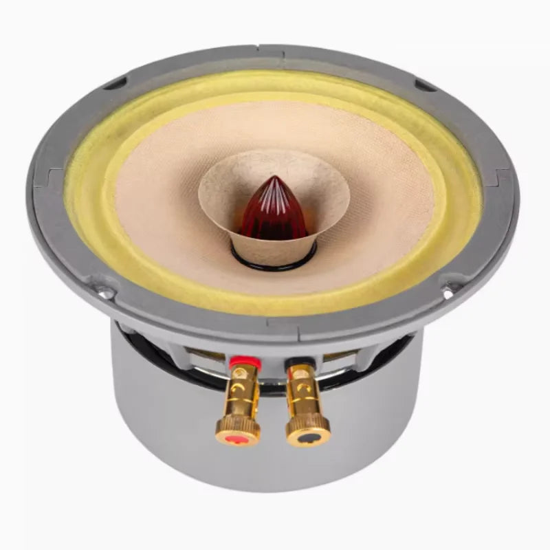 A-902 Liisong 6,5 Zoll EMMO (Fast6) HIFI Breitband-Regallautsprecher 8 Ohm (1 Paar)