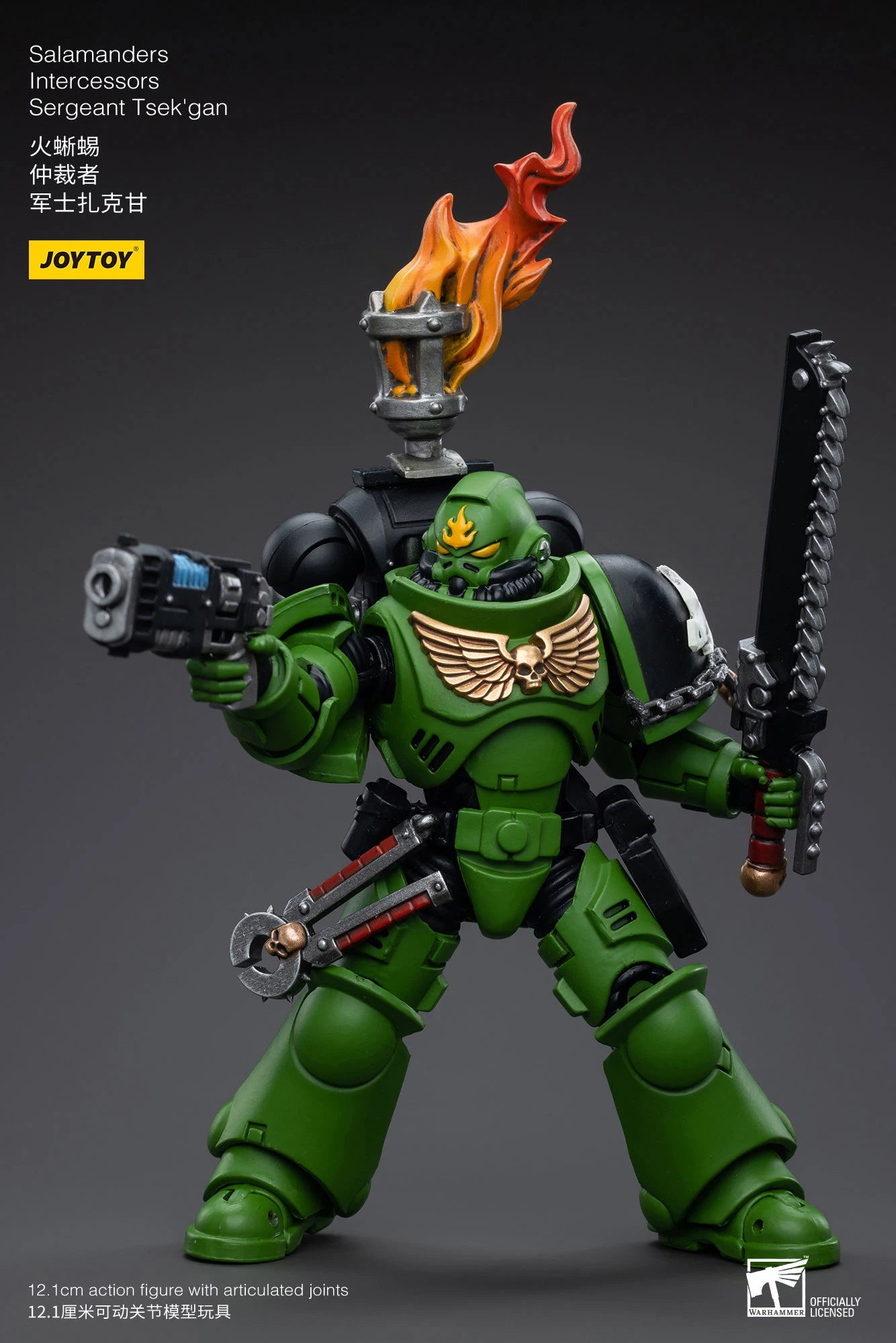 JOYTOY 40K 1/18 Salamanders Intercessors Sergeant Krajax Tsek'gan Brother Haecule Tol'vak Action Figures Model Gift for Collect