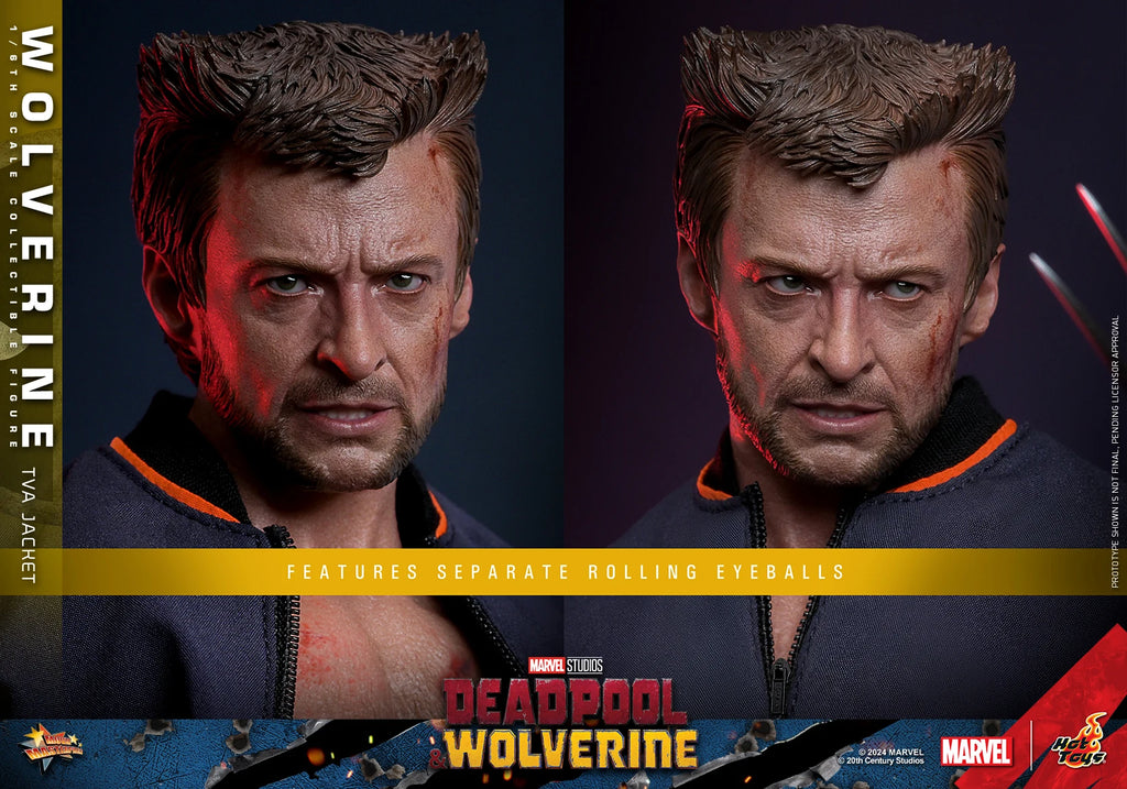 In Stock HotToys MMS756 Wolverine TVA Jacket 1/6 Soldier Figure Animation Action Figure Toy Gift Model Collection