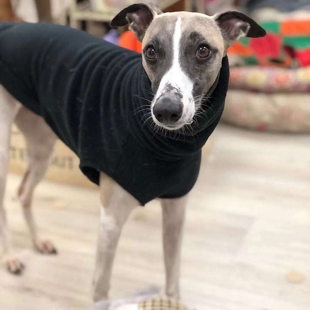 Winter Fleece Whippet Weste Italienische Windhund Kleidung Rollkragen Hund Kleidung Weiche Fleece Kleidung