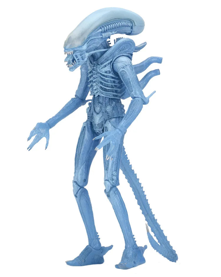 NECA Alien Vs. Predator Alien Dog AVP PVC Action Figures Kids Toys New Year's Christmas Gift 18cm