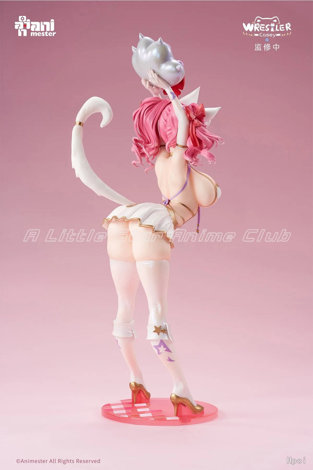 Original AniMester Merry Meow Wrestler Casey 1/6 Scale Toys Figures