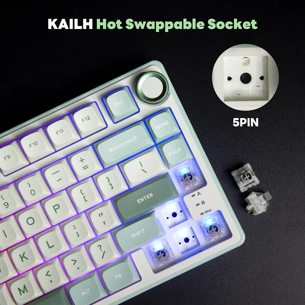 RK Royal Kludge R75 Gasket Kabelgebundene mechanische Tastatur mit 80 Tasten, RGB-Hintergrundbeleuchtung, Hot-Swap-fähige spanische Gamer-Tastatur, MDA-PBT-Tastenkappen
