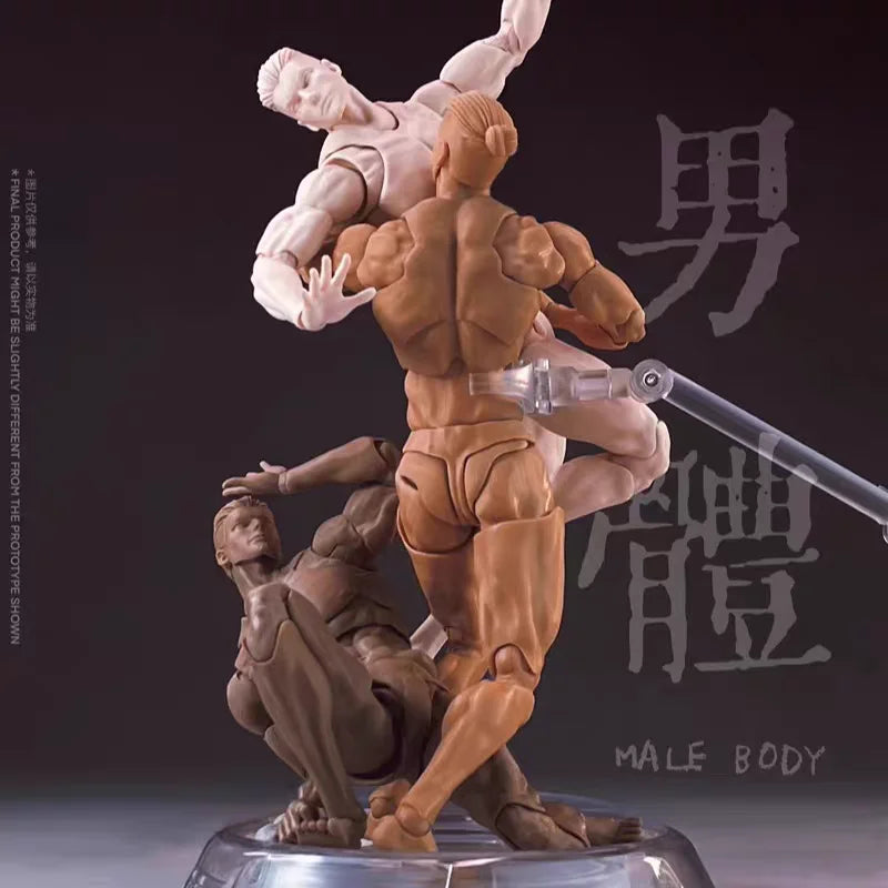 Romankey X Cowl 1/12 Scale Artical Male Body Action Figure Model Painting Toy Collectible Soldier Mannequin Human Drawing