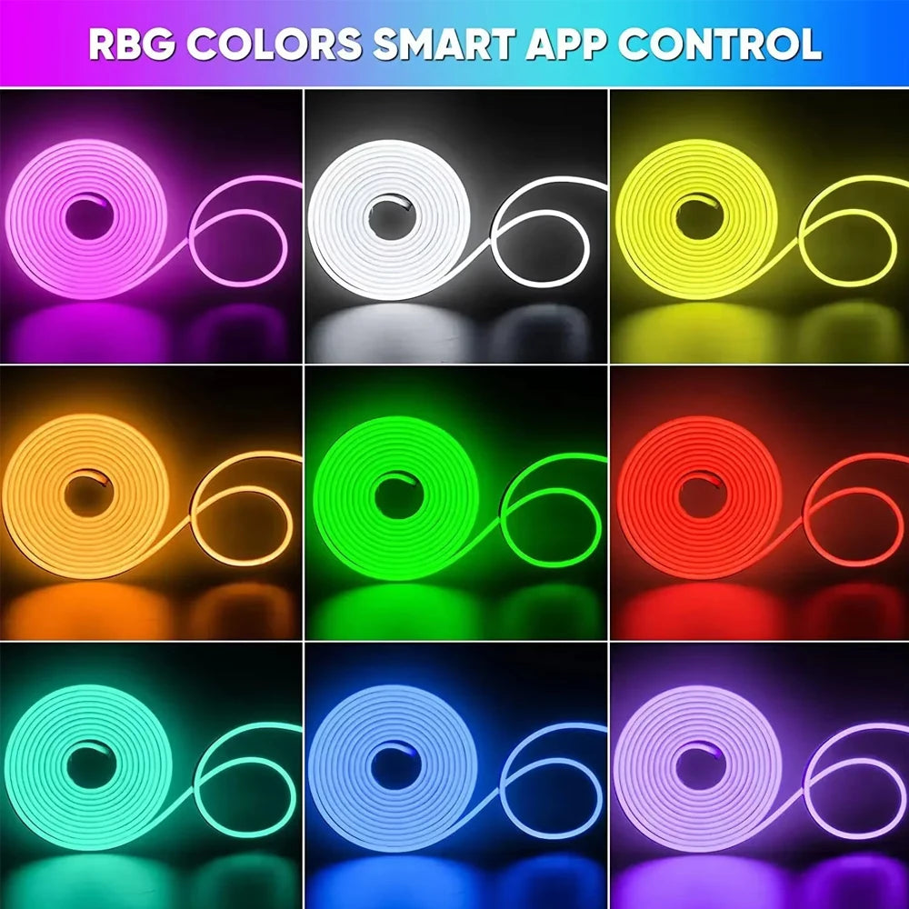 Wiscolor Tuya Wifi Plug RGBIC LED Neon Strip Lights Waterproof Suppprt Aleax/Google Home/Smart Life For Home Decoration Lighting