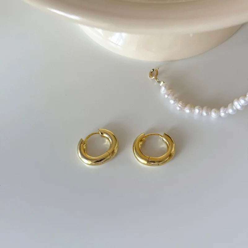 VENTFILLE 925 Sterling Silver Chunky Hoop Earrings for Women Geometric Circle Punk Ear Jewelry Party Gifts 2023 New Dropshipping