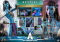 HOTTOYS HT MMS686 1/6 Collectible Toys Neytiri Avatar The Way of Water Woman Soldier 12inch Action Figure Model Gifts