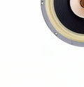 Z-1224 LiiSong Fast-12 12 Inch Full Frequency Speaker 40-80W 8 Ohm Fullrange Drivers （1 Pair）