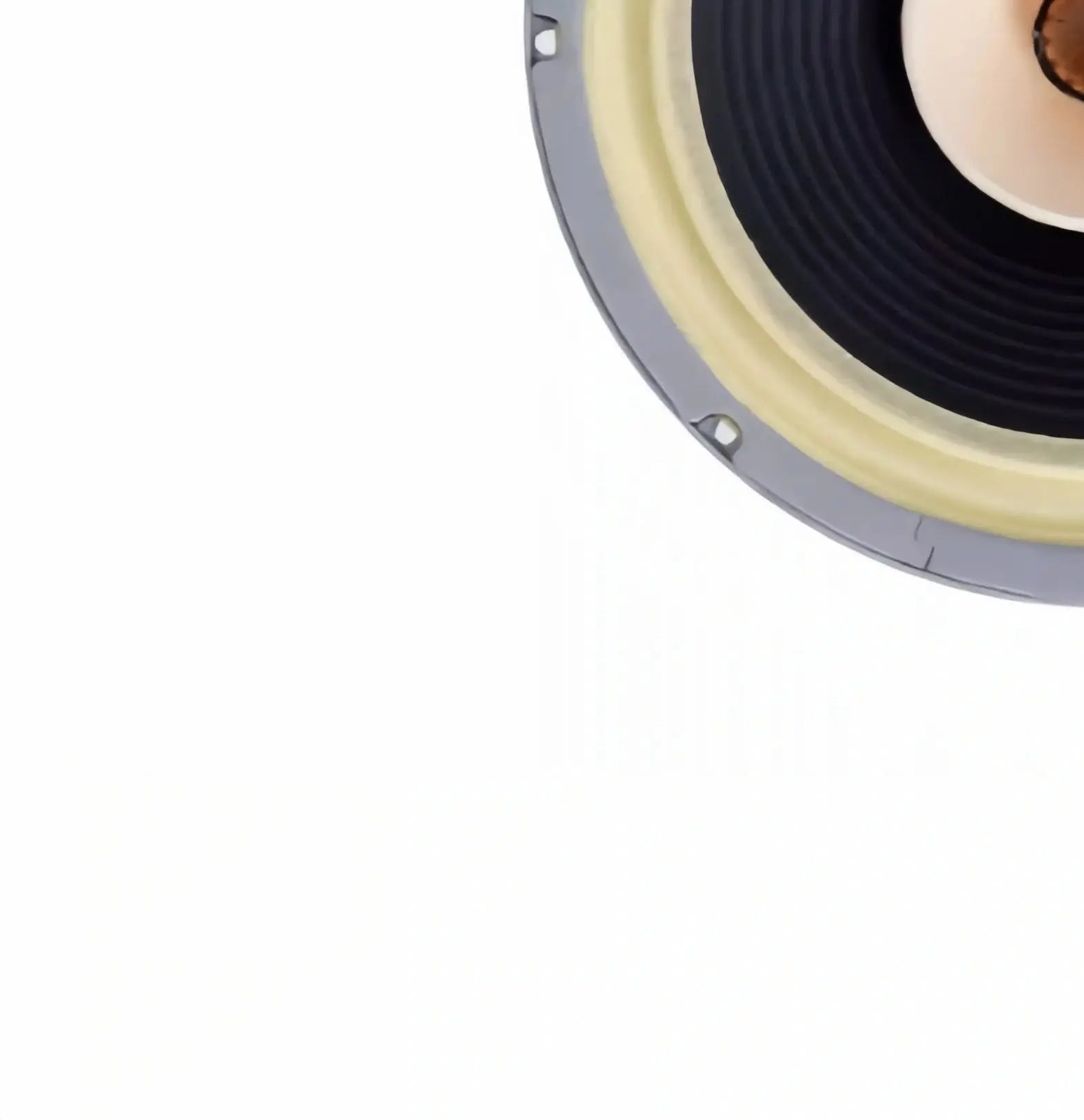 Z-1224 LiiSong Fast-12 12 Inch Full Frequency Speaker 40-80W 8 Ohm Fullrange Drivers （1 Pair）