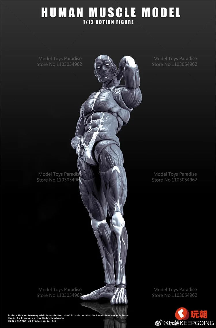 1/12 Collectible Toys Super Movable Human Muscle Painting Skeleton Soldier 6Inches Action Figure Model Gifts