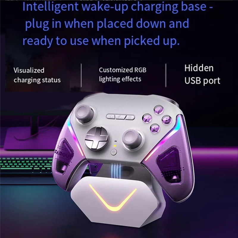 D10 Wireless Gamepad Bluetooth RGB Controller For PC/Switch Phone/Steam TMR Sticks Hall Effect Joystick Micro Triggers B