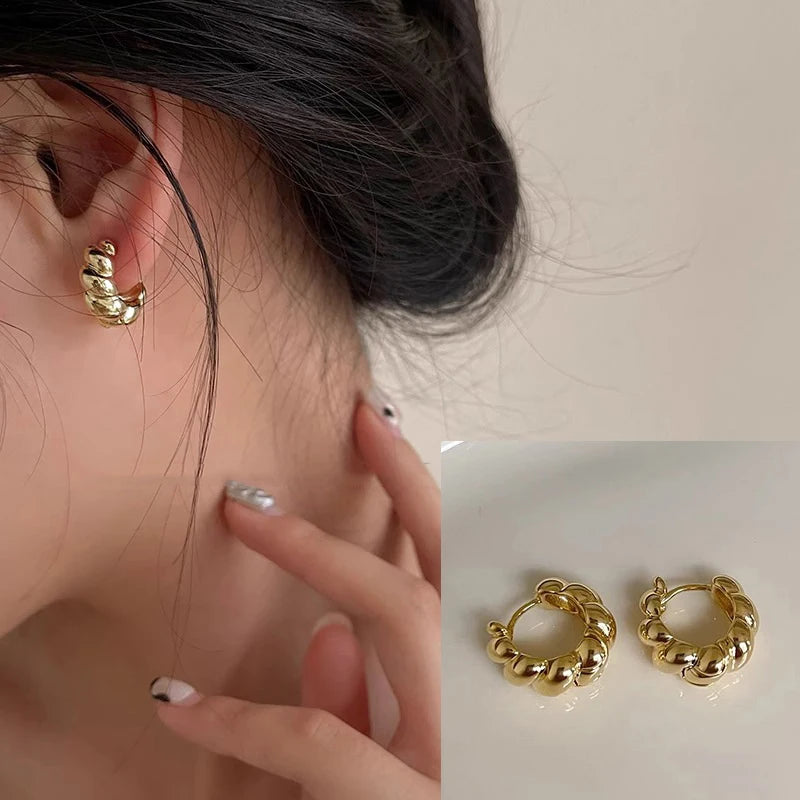 VENTFILLE 925 Sterling Silver Chunky Hoop Earrings for Women Geometric Circle Punk Ear Jewelry Party Gifts 2023 New Dropshipping