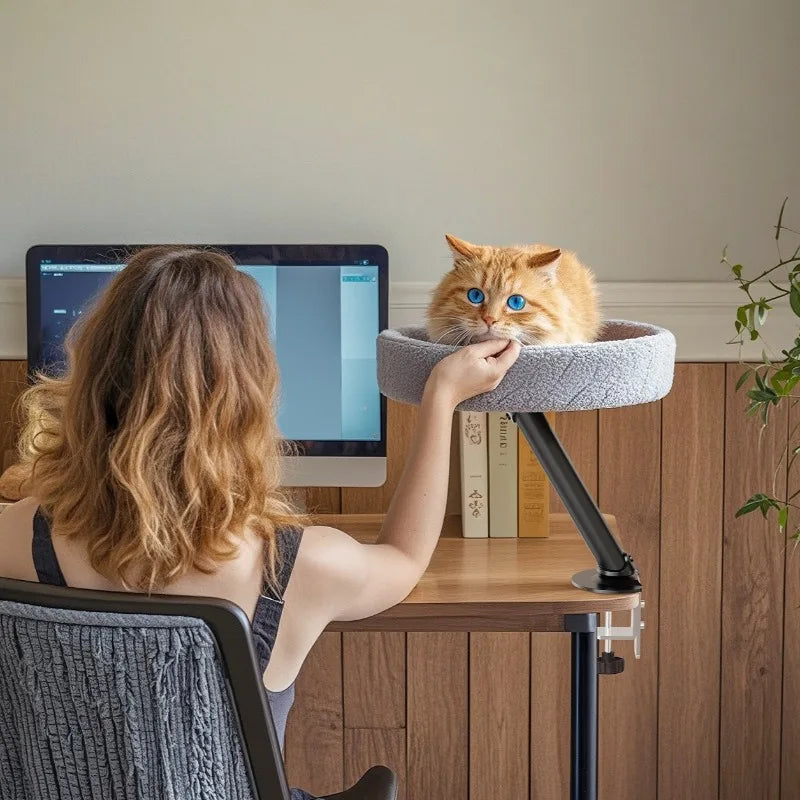 Floating Cat Nest Desktop Cat Beds Office Cats Climbing Frame Desk Cats Crawler Frame Home Pet Products