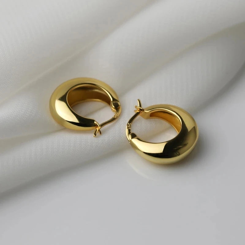 VENTFILLE 925 Sterling Silver Chunky Hoop Earrings for Women Geometric Circle Punk Ear Jewelry Party Gifts 2023 New Dropshipping