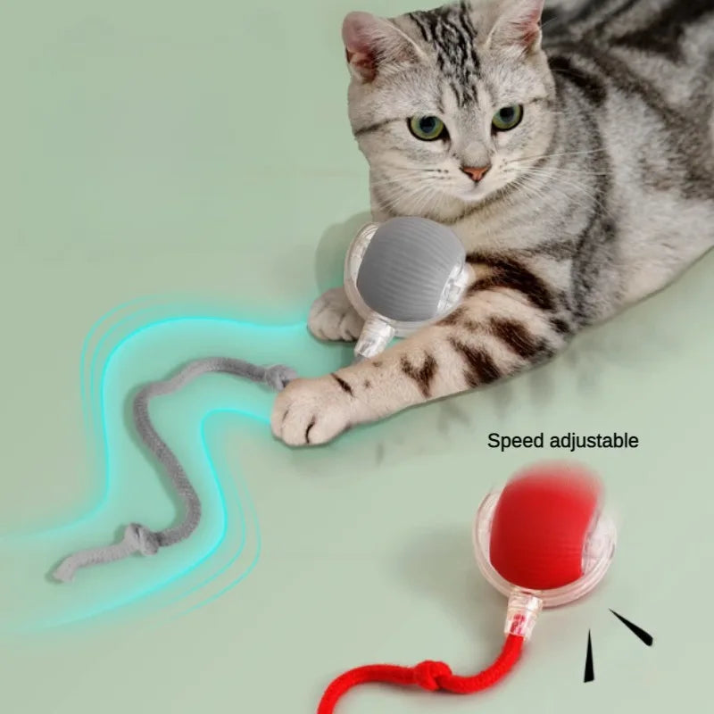 Interaktiver Katzenball: Automatischer Rollball für Kätzchen, wiederaufladbar, intelligentes elektrisches Haustierspielzeug mit Reizsensor