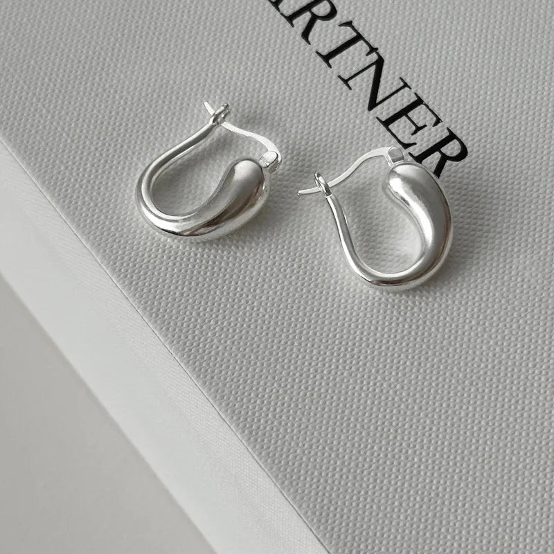 VENTFILLE 925 Sterling Silver Chunky Hoop Earrings for Women Geometric Circle Punk Ear Jewelry Party Gifts 2023 New Dropshipping