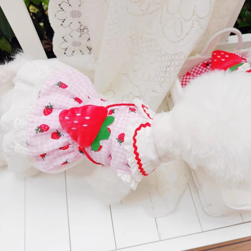 Erdbeerkleid für Hunde, Sommer, Frühling, niedlich, kariert, für Frauen, Mädchen, Welpen, Haustier, Katze, Kleidung, Kleidung, Yorkie, Chihuahua, kleine und mittelgroße Möpse
